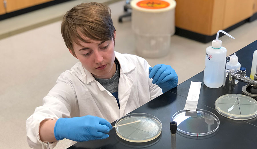 student in a lab coat swabbing a petri dish